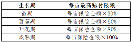 03755dc783a514f36b7cf029a86e629.png